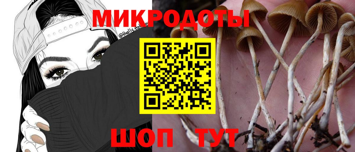Советский  Псилоцибиновые грибы Magic Shrooms  Галлюциногенные грибы прущие грибы  Вход с VPN 