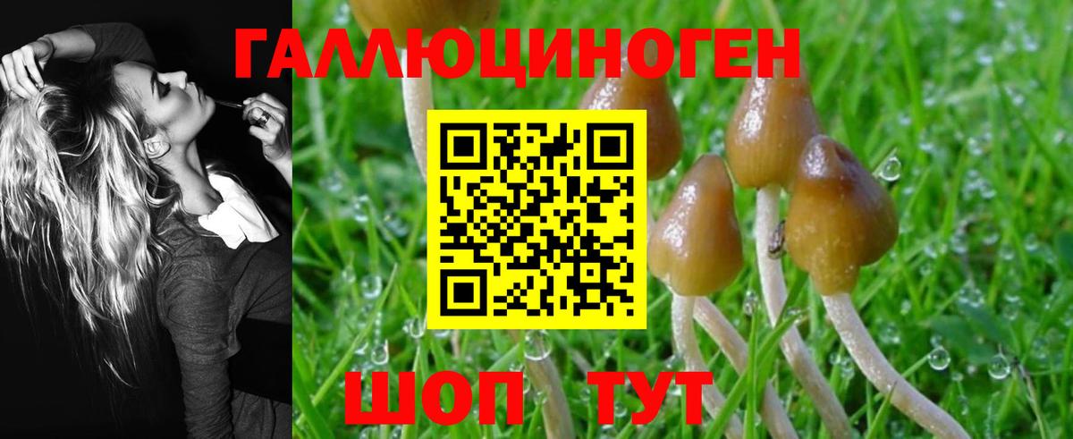 Галлюциногенные грибы Cubensis Советский